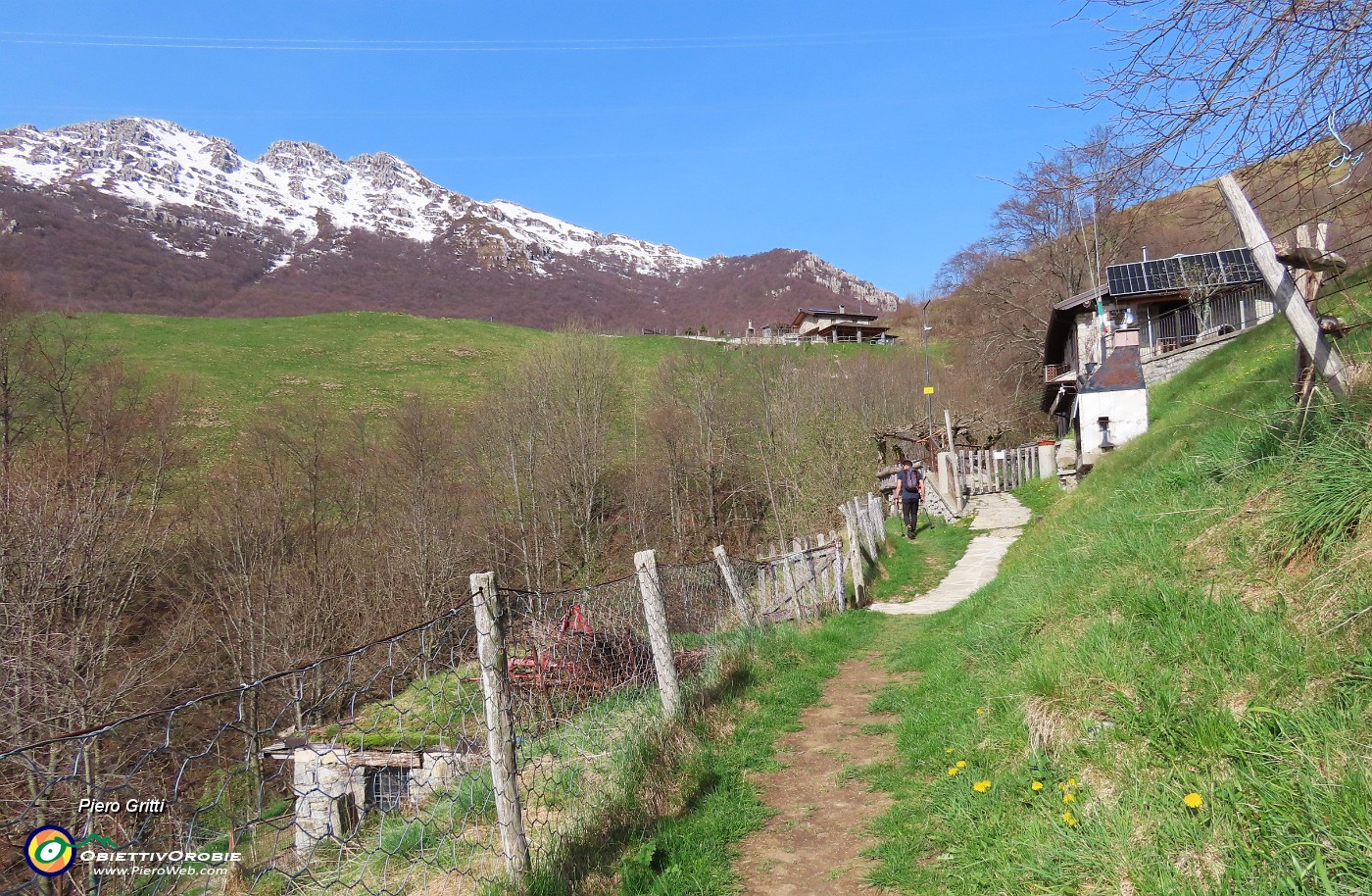 09 Sul sent. 578 al Rifugio Grande Faggio.JPG
